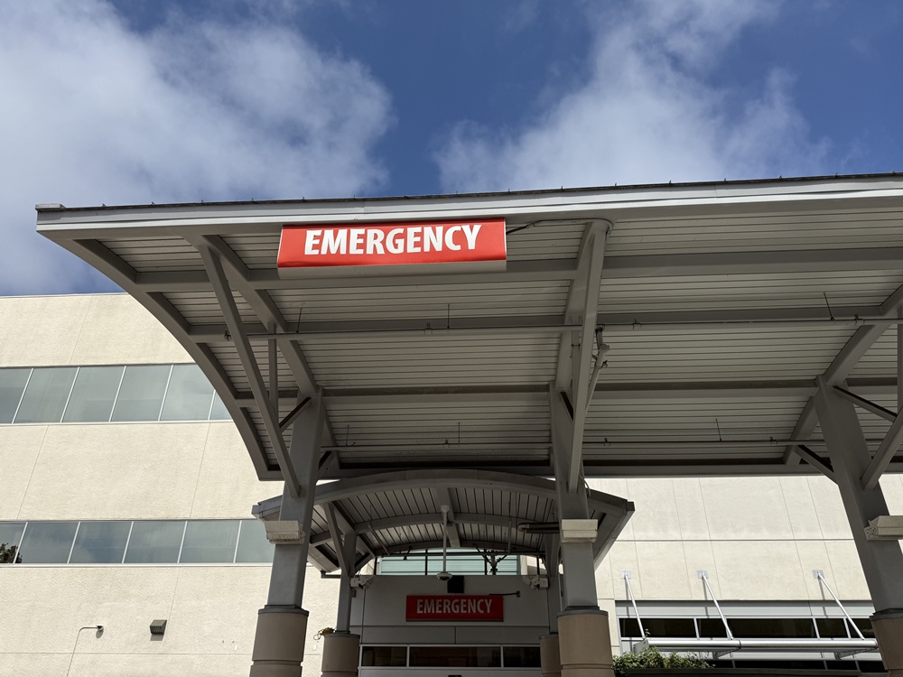 NFTA Bus and SUV Crash with Injuries on Sheridan Dr